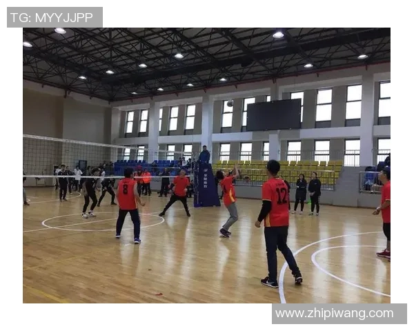 广州排球队战术创新引领潮流排球战术排名再创佳绩