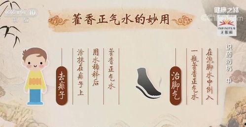 藿香正气表情包,夏日清凉，驱散湿邪的趣味神器